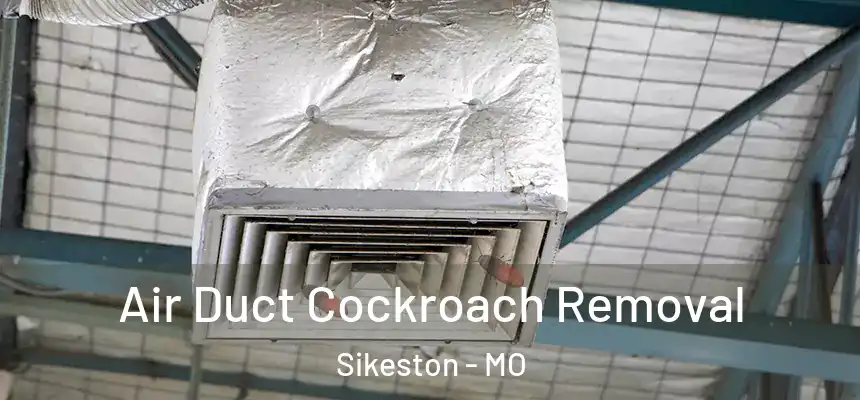  Air Duct Cockroach Removal Sikeston - MO