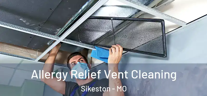  Allergy Relief Vent Cleaning Sikeston - MO