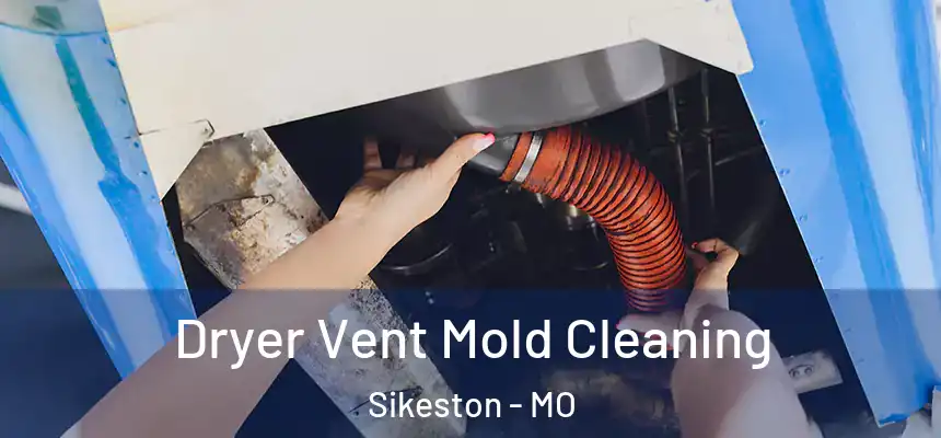  Dryer Vent Mold Cleaning Sikeston - MO