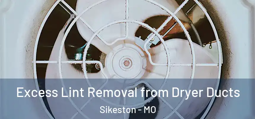  Excess Lint Removal from Dryer Ducts Sikeston - MO