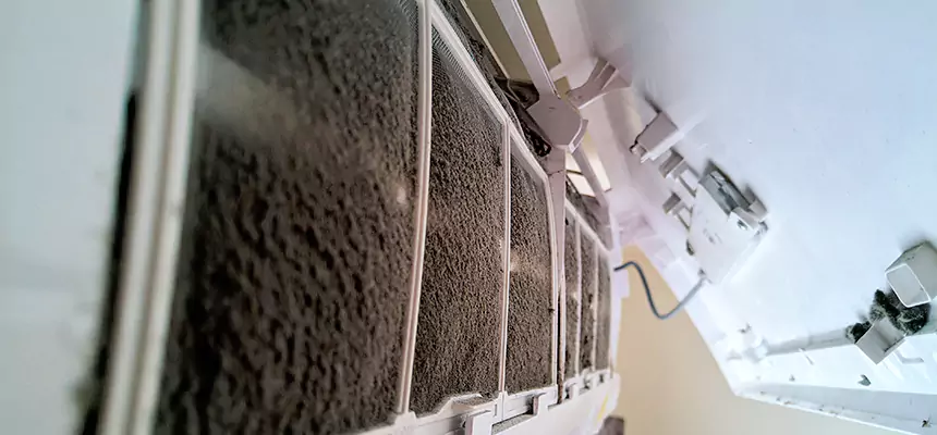 Preventive Air Duct Bacteria Removal in Sikeston