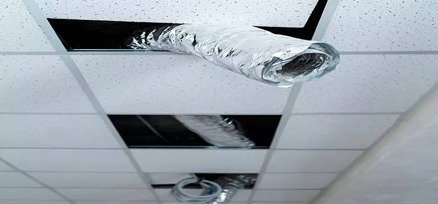 Our Air Duct Pet Hair Removal Services in Sikeston, MO