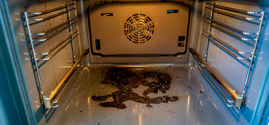 Our Dryer Vent Mold Cleaning Services in Sikeston, MO