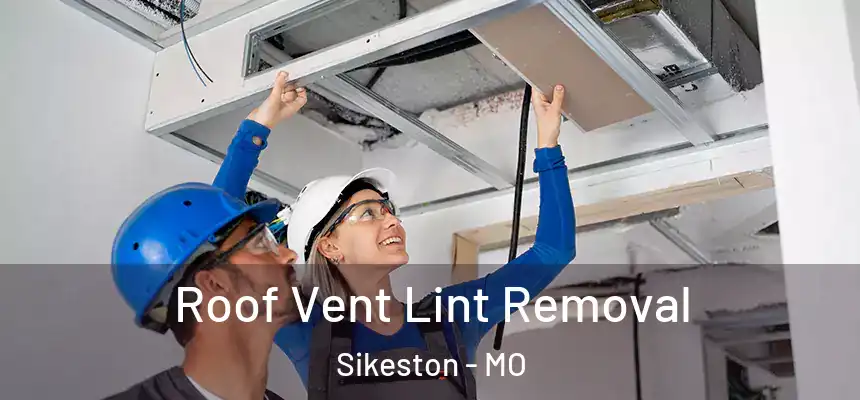  Roof Vent Lint Removal Sikeston - MO
