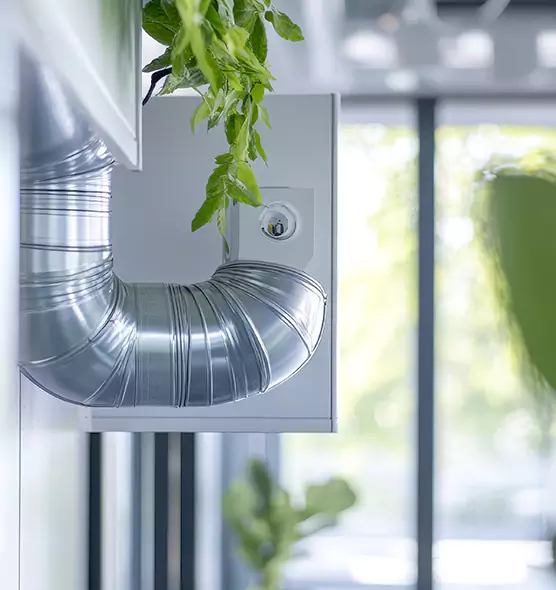 Professional Eco-Safe Dryer Vent Cleaning in Sikeston, MO