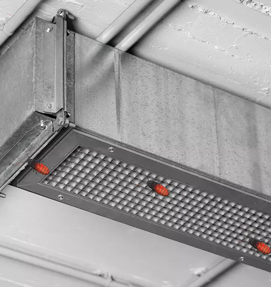 Affordable Insect Removal from Air Ducts in Sikeston, MO