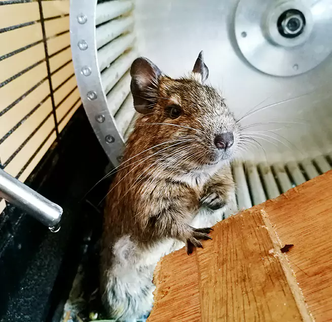 Why Homeowners & Businesses Trust Us Sikeston, MO