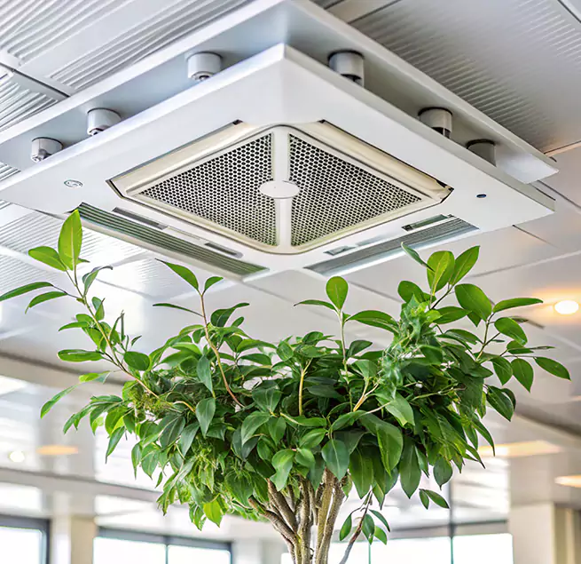 Why Homeowners & Businesses Trust Us in Sikeston, MO